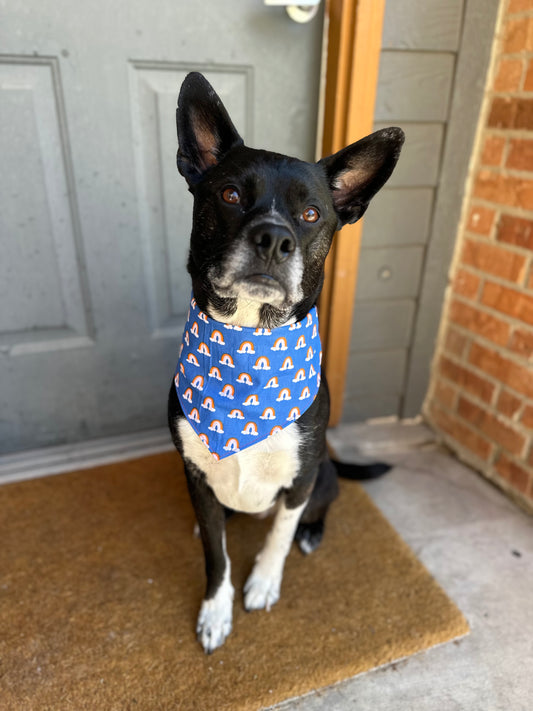 Dog Bandana Rainbow